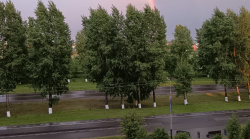 Пожарная безопасность в период цветения тополей