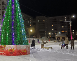 В Киселевске планируется установить девять новогодних елей
