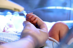 В Кузбассе откроются бесплатные пункты проката предметов первой необходимости для новорожденных В Кузбассе откроются бесплатные пункты проката предметов первой необходимости для новорожденных