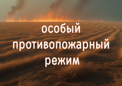  В Кемеровской области действует особый противопожарный режим