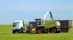 Илья Середюк рассказал о рекордных урожаях в Кузбассе