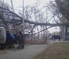 23.10.2022 Последствия урагана в Киселевске (ФОТО) 