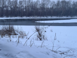 Прокуратура Центрального района г. Новокузнецка организовала проверку по факту происшествия с детьми на воде