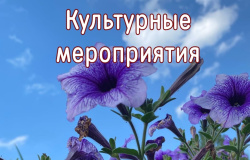 Культурные мероприятия