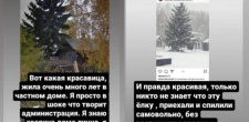 Срубили елку во дворе частного дома и поставили в Горсаду