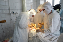 Уникальные технологии по пересадке печени освоили в южной агломерации Кузбасса Уникальные технологии по пересадке печени освоили в южной агломерации Кузбасса