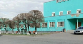 В Киселевске коммунальные бригады начали массовую побелку деревьев