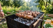 Не лимон и не кефир: в чем опытные хозяйки выдерживают мясо для шашлыка — тает во рту