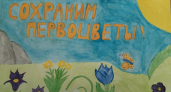 В Киселёвске подвели итоги муниципального этапа экологической акции “Сохраним первоцветы Кузбасса”