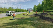 В Киселевске коммунальщики приступили к озеленению